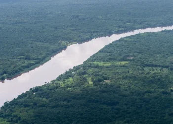 Essequibo: Venezuela expande presença militar na fronteira com Guiana