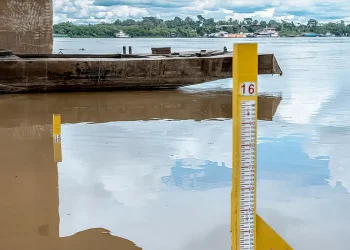 Amazônia: Sistema Agroflorestal promove redução de efeitos da seca