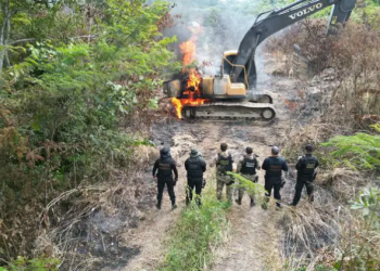 Pará: Polícia Federal fecha três garimpos em Terra Indígena Kayapó