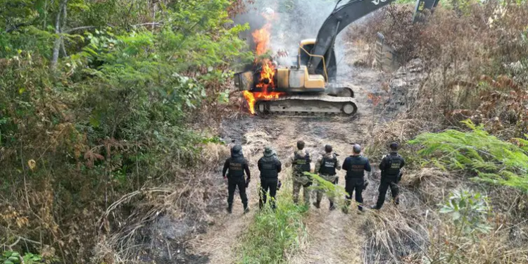 Pará: Polícia Federal fecha três garimpos em Terra Indígena Kayapó
