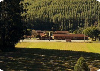 Venda Nova: Oficializada a criação do Distrito Turístico de Pindobas, o primeiro do Estado