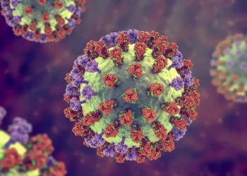 Saúde: Internações e mortes por influenza e vírus sincicial aumentam no país
