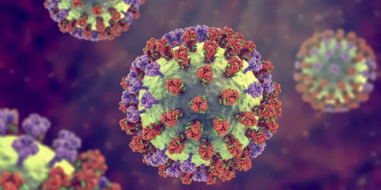 Saúde: Internações e mortes por influenza e vírus sincicial aumentam no país