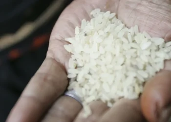 Arroz: CGU abre investigação para apurar suspeitas em importação