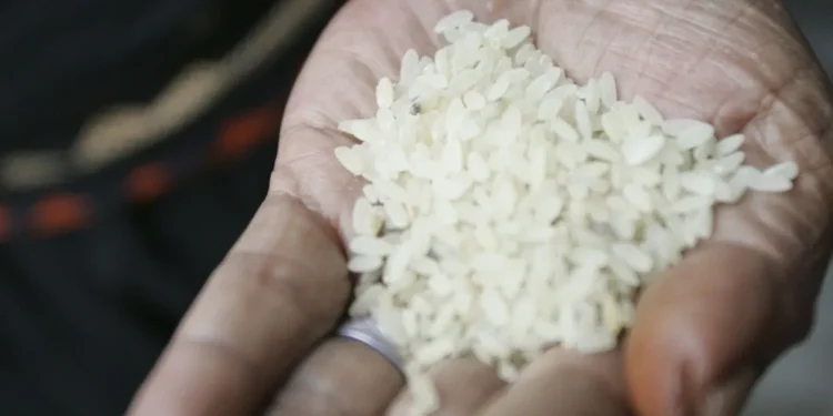 Arroz: CGU abre investigação para apurar suspeitas em importação