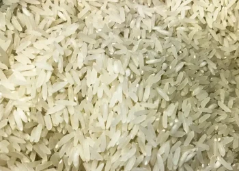 Brasil: Justiça suspende leilão para compra de arroz importado
