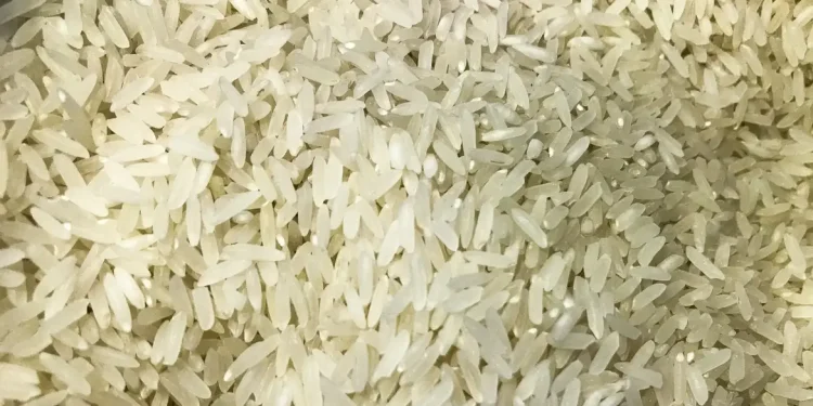 Brasil: Justiça suspende leilão para compra de arroz importado