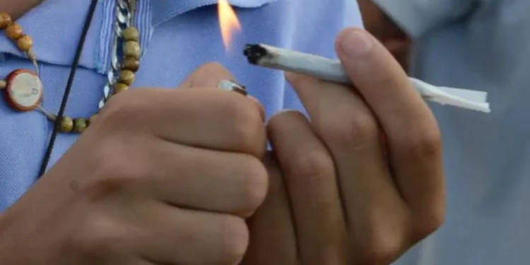 Câmara Federal: PEC das drogas será pauta nesta semana
