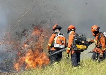 Clima: Brasil bate recorde de queimadas no primeiro semestre de 2024
