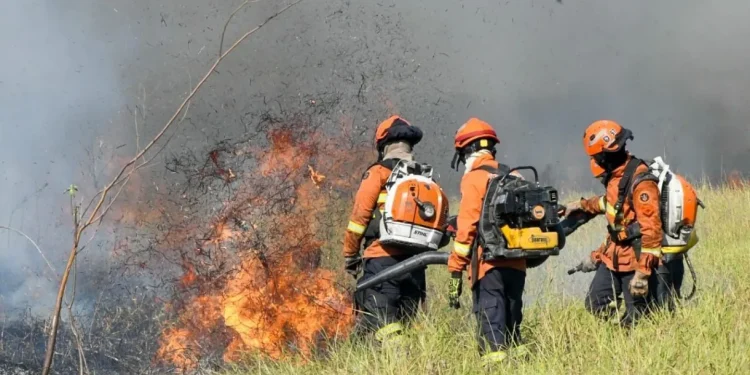 Clima: Brasil bate recorde de queimadas no primeiro semestre de 2024
