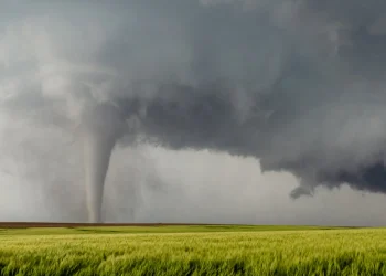 Clima: La Nina tem 65% de probabilidade de se desenvolver entre julho e setembro