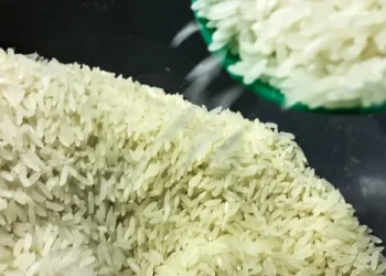 Agro: Conab compra 263,3 mil toneladas de arroz importado em leilão