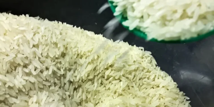 Agro: Conab compra 263,3 mil toneladas de arroz importado em leilão