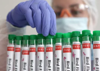 México: OMS confirma primeiro caso fatal de vírus A(H5N2) da gripe aviária em humano