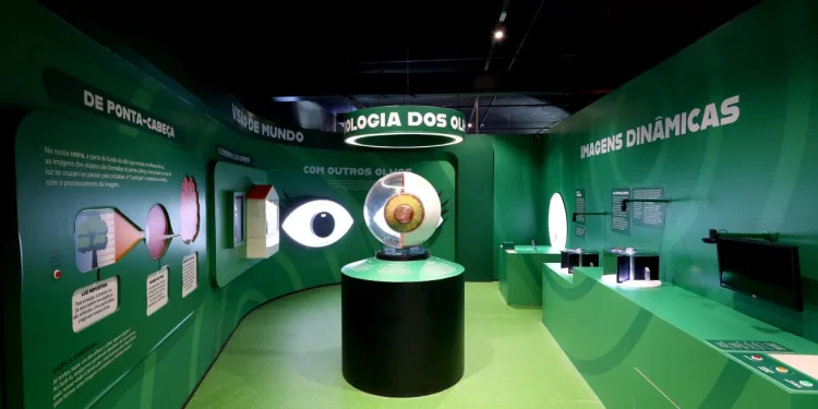 Turismo: Museu da Imaginação de São Paulo reabre com 13 exposições