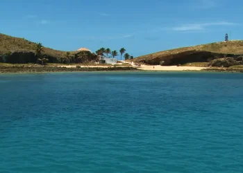 Educação: Olimpíada Brasileira do Oceano 2024 terá foco nos biomas do país