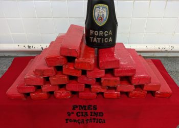 Polícia: PM apreende mais de 25 quilos de maconha em Rio Novo do Sul