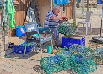 Portugal: Pescadores de polvos estão ajudando a proteger o maior recife de corais do país