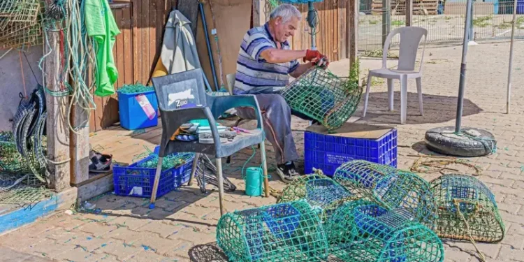 Portugal: Pescadores de polvos estão ajudando a proteger o maior recife de corais do país