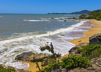Turismo: Brasil amplia número de praias e marinas candidatas à Bandeira Azul