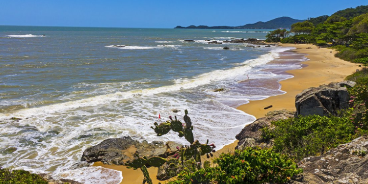 Turismo: Brasil amplia número de praias e marinas candidatas à Bandeira Azul