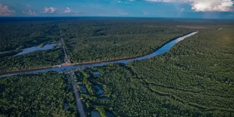 Economia: Brasil e vizinhos se unem por “Rota Amazônica” que liga floresta a quatro portos do Pacífico