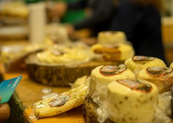 Turismo: Rota dos Queijos de João Neiva (ES) revela sabor e tradição