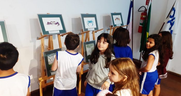 Vitória: Exposição Manguezal Múltiplos Olhares encanta estudantes da capital