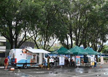 Vitoria: Vetmóvel estará em Resistência para atendimento nesta quinta (27)