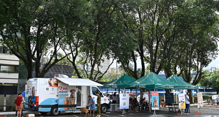 Vitoria: Vetmóvel estará em Resistência para atendimento nesta quinta (27)