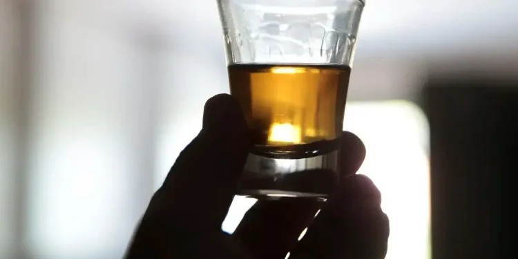 Qualidade: Governo de Minas investe R$ 3,7 milhões em pesquisas para aprimorar qualidade de cachaça
