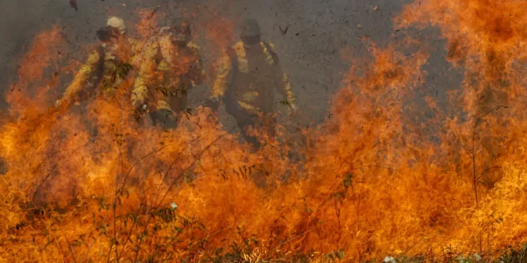 Clima: MS declara emergência em municípios atingidos por incêndios florestais