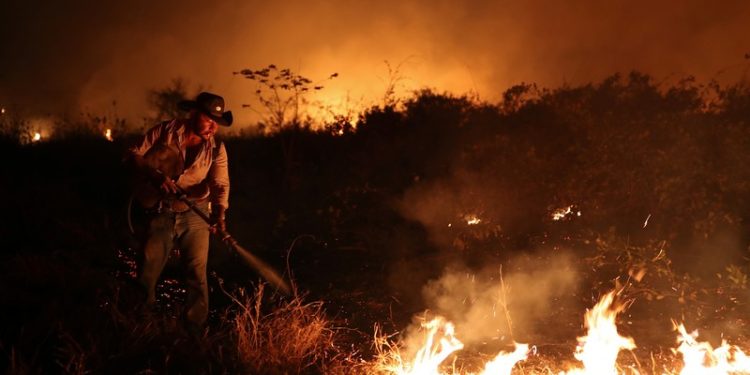 Pantanal: FAB envia avião cargueiro para ajudar no combate aos incêndios