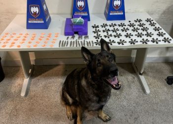 Guarapari: 10º BPM apreende drogas com o apoio do cão policial Mike