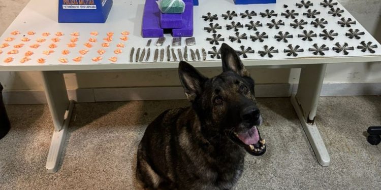 Guarapari: 10º BPM apreende drogas com o apoio do cão policial Mike