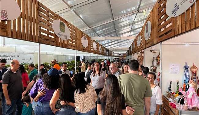 Alfredo Chaves: Comissão da 49ª Festa da Banana e do Leite lança Edital de chamamento público