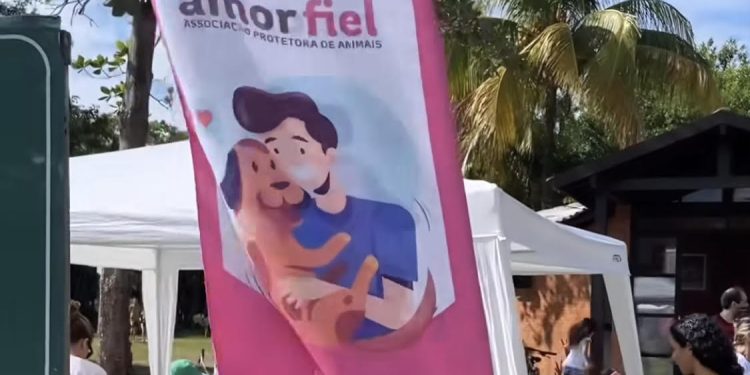 Piúma: Feira de adoção da Amor Fiel consegue famílias para 4 filhotes