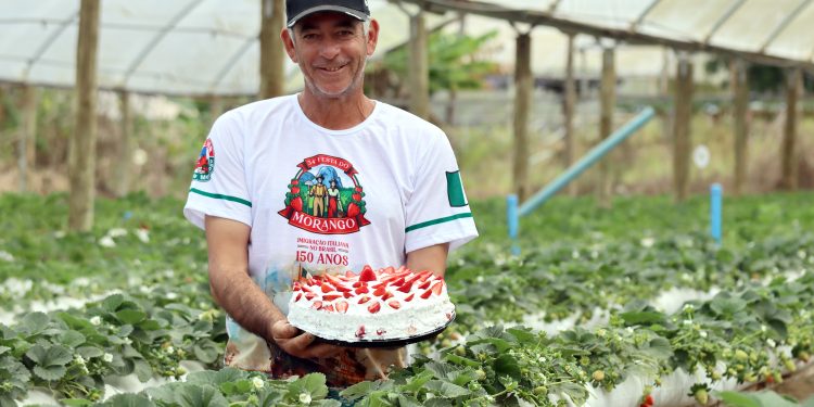 Pedra Azul: Festa do Morango terá torta com mais de 500 quilos da fruta