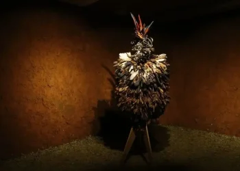 Cultura: Artefatos indígenas retidos na França retornam ao Brasil