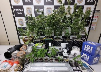 Guarapari: Operação da Polícia Civil desmonta laboratório utilizado para cultivo de drogas