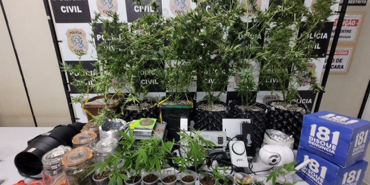 Guarapari: Operação da Polícia Civil desmonta laboratório utilizado para cultivo de drogas