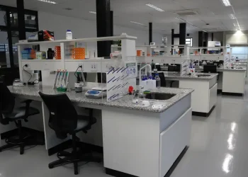Incentivo: Programa Ciência Pioneira apoiará pesquisadores durante três anos