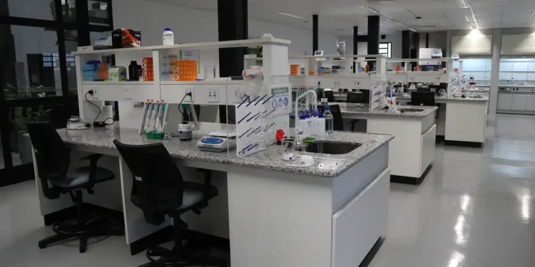 Incentivo: Programa Ciência Pioneira apoiará pesquisadores durante três anos