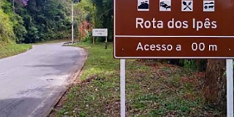 Domingos Martins: Rota dos Ipês pode ser oficializada no Estado