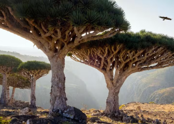 Turismo: Ilha no Oceano Índico tem paisagem exótica que parece de outro planeta