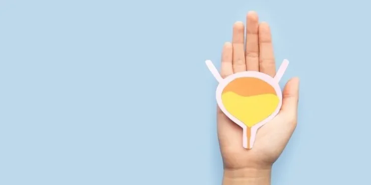 Saúde: Câncer de bexiga ultrapassa 19 mil mortes no Brasil em 4 anos