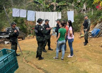 Viana: BPMA localiza canil clandestino com 192 cachorros que sofriam de maus-tratos