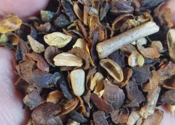 Agricultura: Ministério divulga lista com marcas de café torrado impróprias para consumo