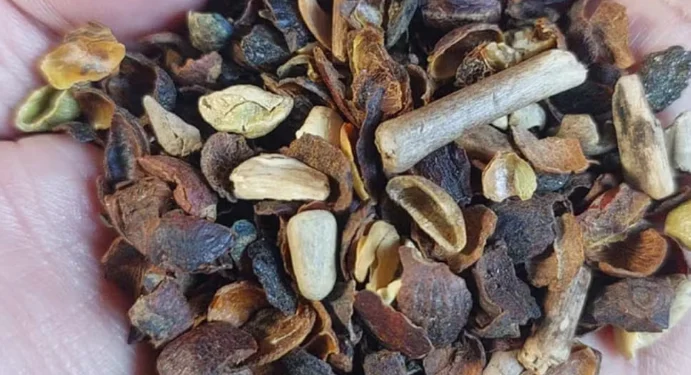 Agricultura: Ministério divulga lista com marcas de café torrado impróprias para consumo