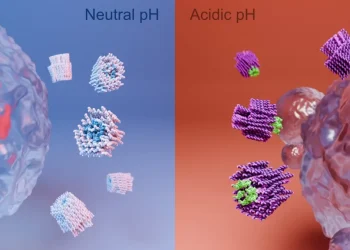 Ciência: Pesquisadores desenvolvem nanorrobôs que podem “matar” células cancerígenas